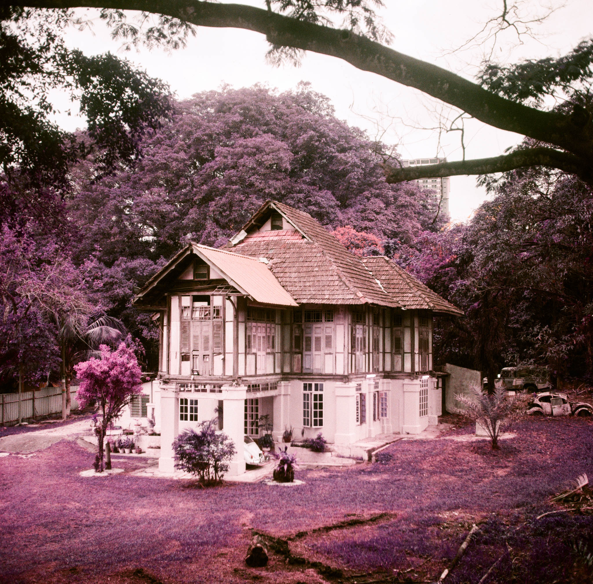 Johor Bahru, Lomochrome Purple, Frame 8